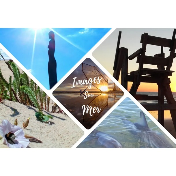Festival Images-sur-Mer 2023